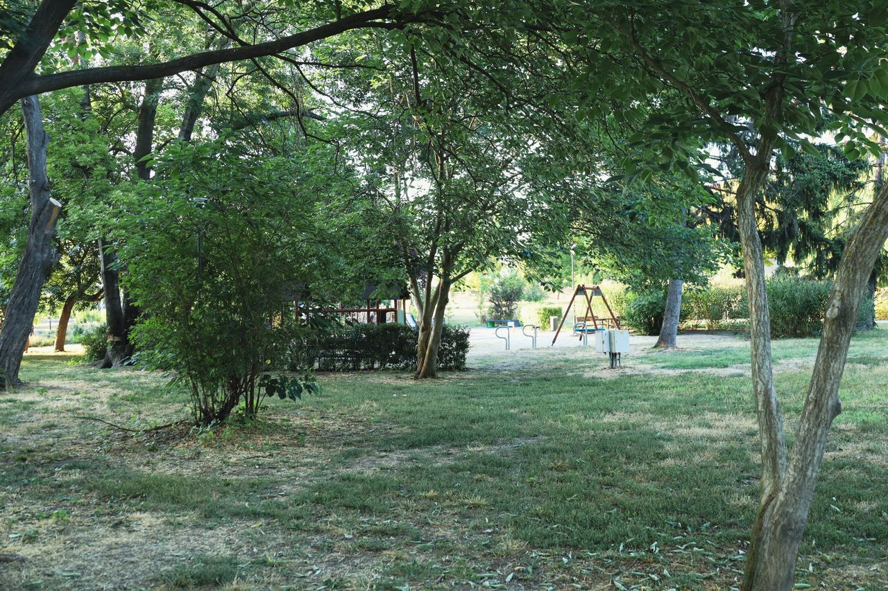 Galéria képe