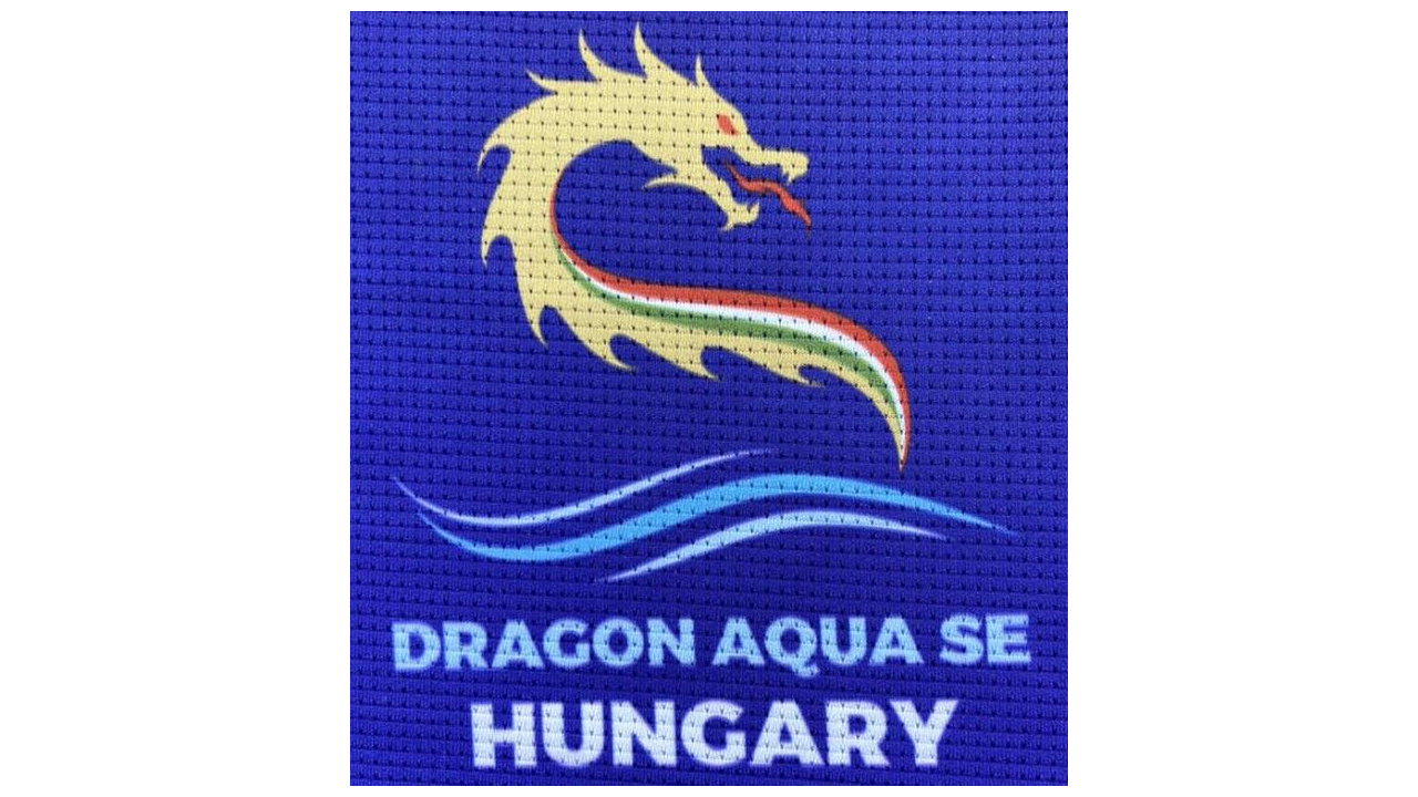 dragon_logo