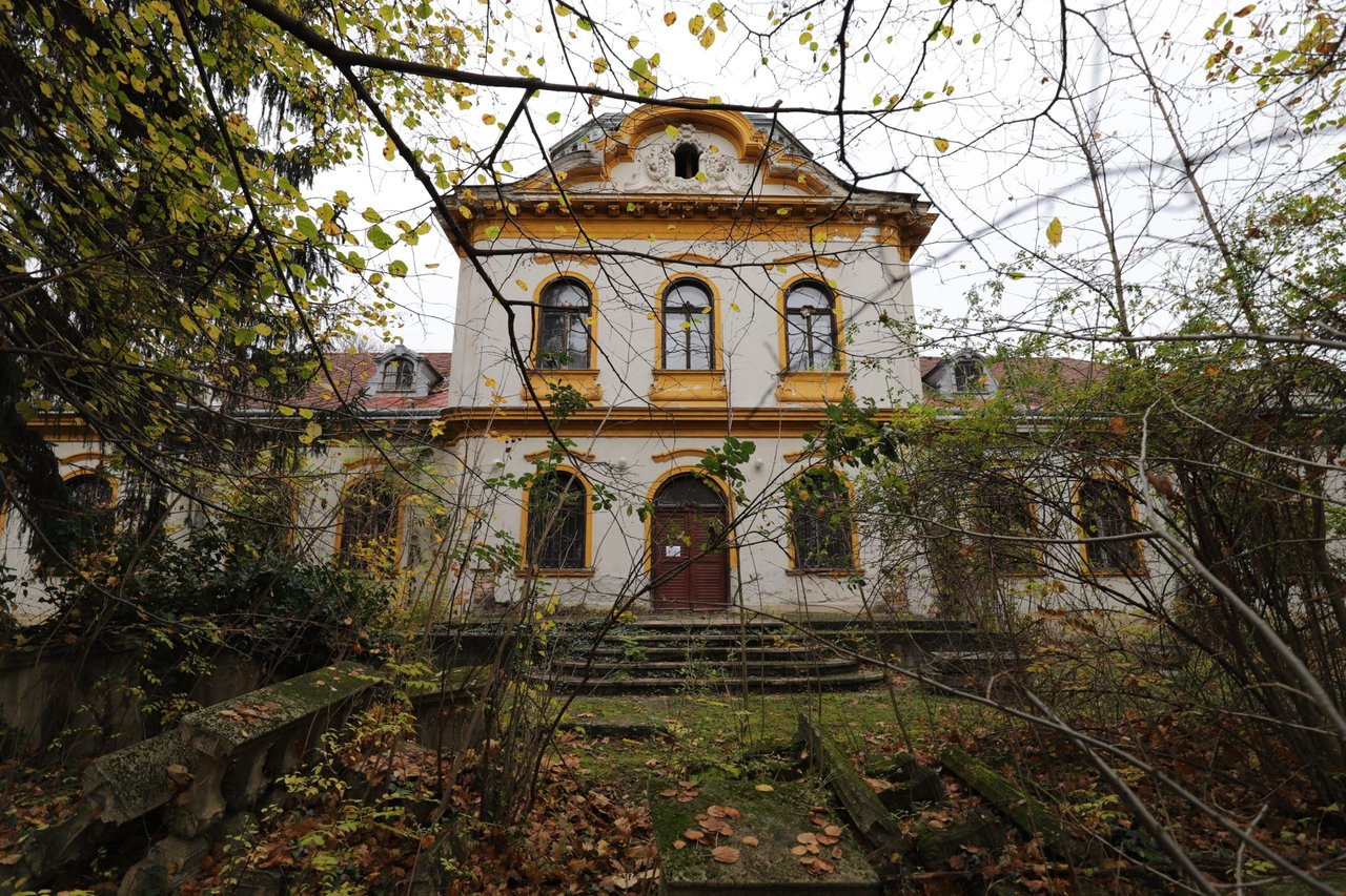 hauszmann_g